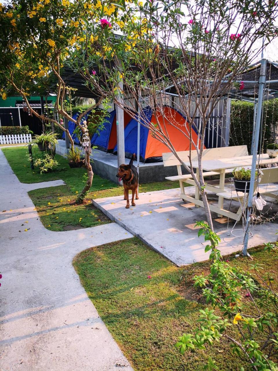 Sports Bar & Resort Pakchong Exterior photo